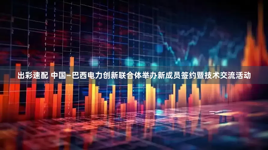 出彩速配 中国—巴西电力创新联合体举办新成员签约暨技术交流活动