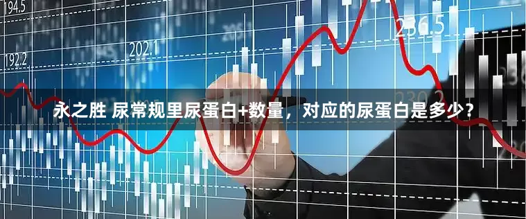 永之胜 尿常规里尿蛋白+数量，对应的尿蛋白是多少？