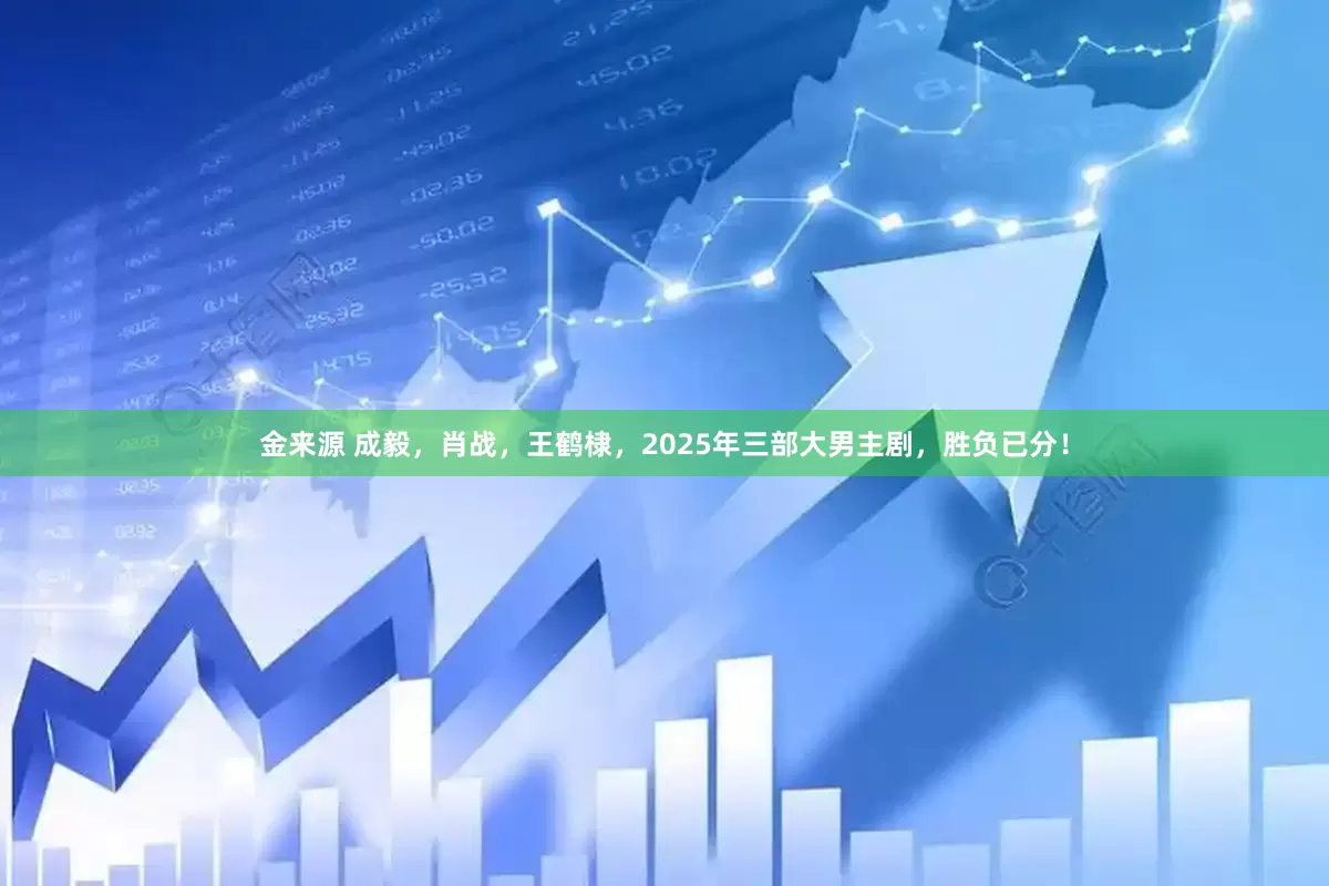 金来源 成毅，肖战，王鹤棣，2025年三部大男主剧，胜负已分！