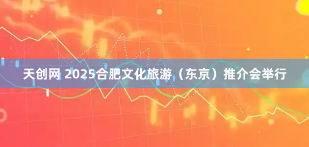 天创网 2025合肥文化旅游（东京）推介会举行