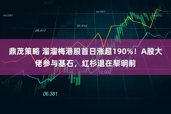 鼎茂策略 溜溜梅港股首日涨超190%！A股大佬参与基石，红杉退在黎明前